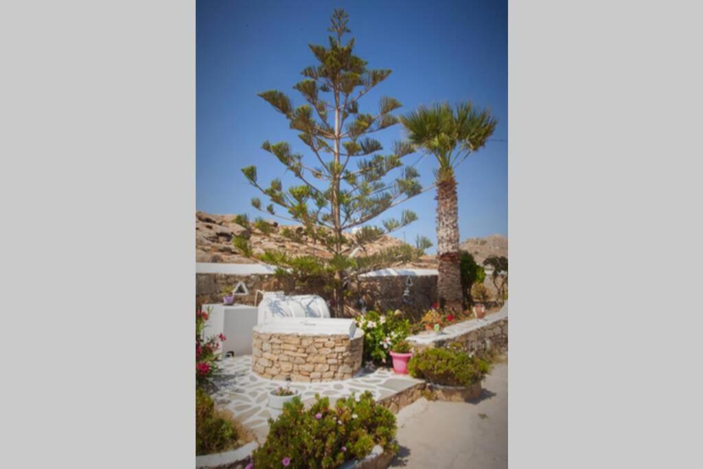 White Dreams Studio Mykonos Town Eksteriør billede
